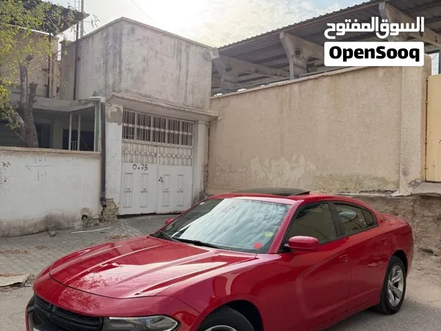 جارجر فول رالي بلص أربيل سنويه جديده
