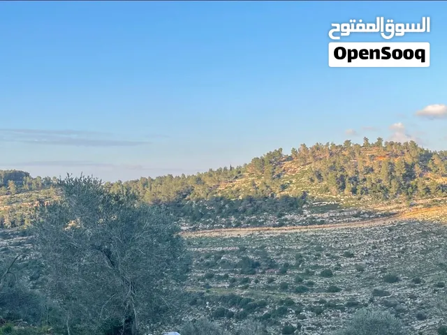 ارض بموقع واطلالة عالية تصنيف b