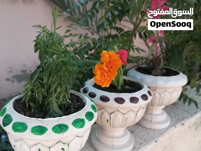 أصيص مزهريات زهور طبيعية وصناعية