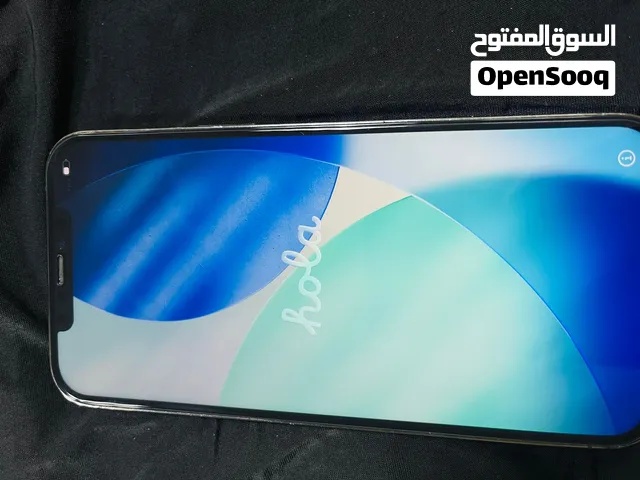 iPhone 12 Pro Max 256