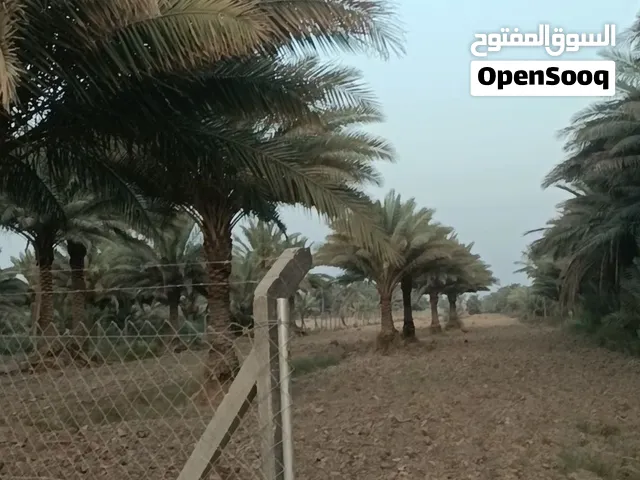 دوانم للبيع