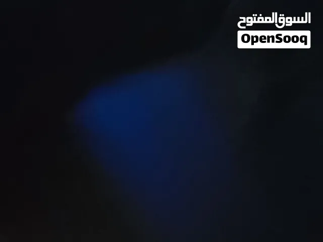 بروكتر داتا شو للبيع