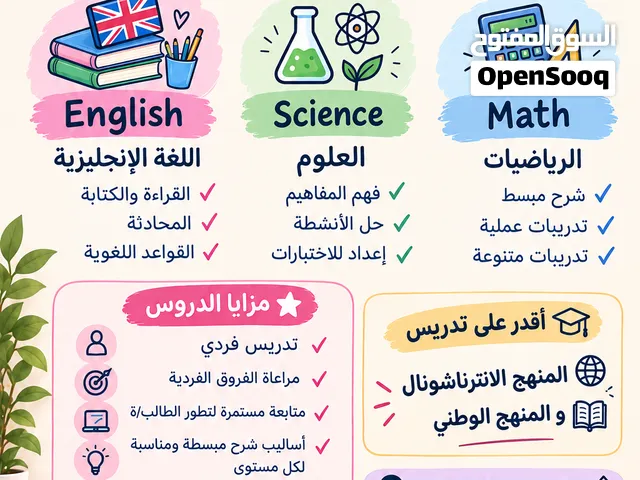 معلمة تأسيس مراحل إبتدائية