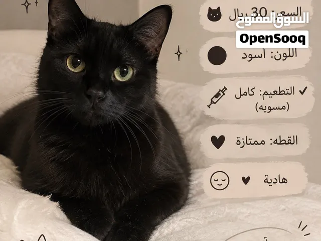 للبيع 30 ريال