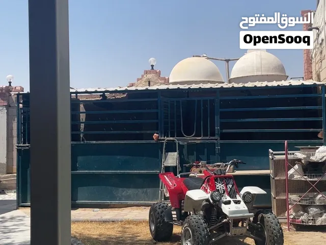 ياماها باشي