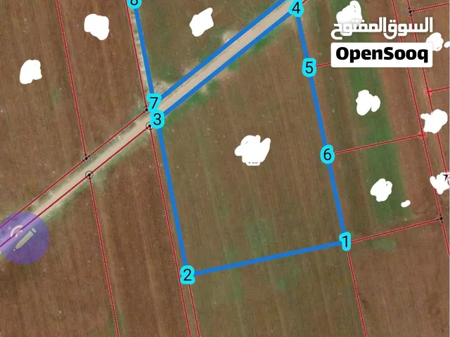 Farm Land for Sale in Irbid Al Sareeh