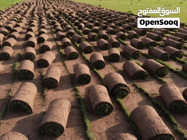 تنسيق حدائق ومبيعات جميع انواع الثيل الطبيعي والصناعي وزراعه الورود وتركيب شبكة الري