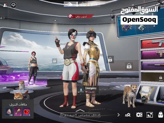 Pubg Accounts and Characters for Sale in Al Batinah