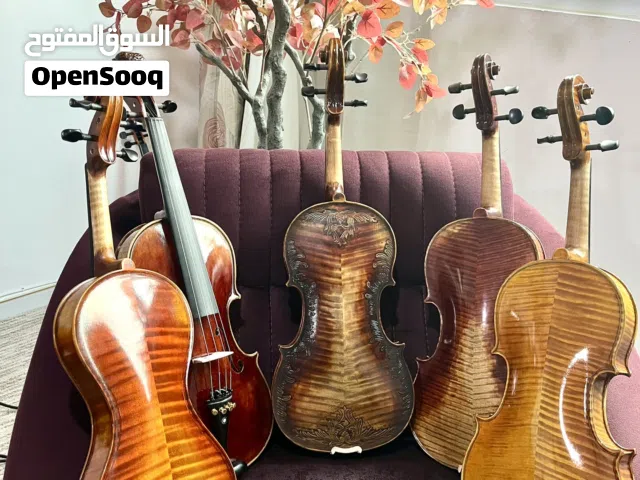 Professional violin
