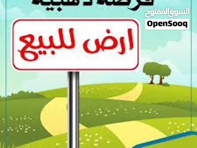 للبيع ارض في بنيدالقار استثمارى المساحة 2000م على شارع الخليج مباشرة وارتداد كبير موقع ممتاز