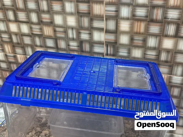 بوكسات لزواحف