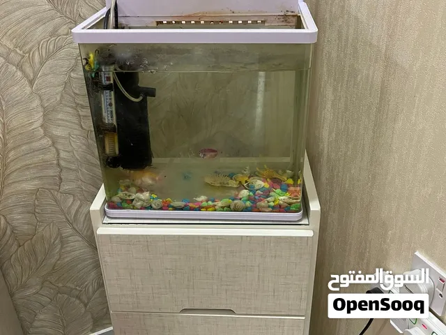 Aquarium and Table