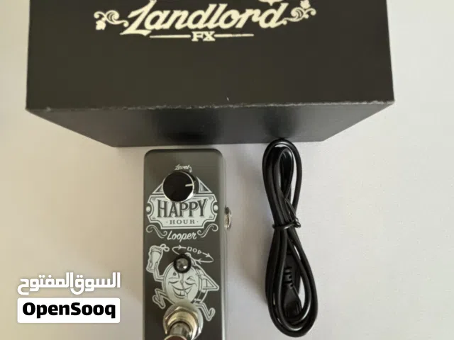 New landlord happy hour looper guitar pedal