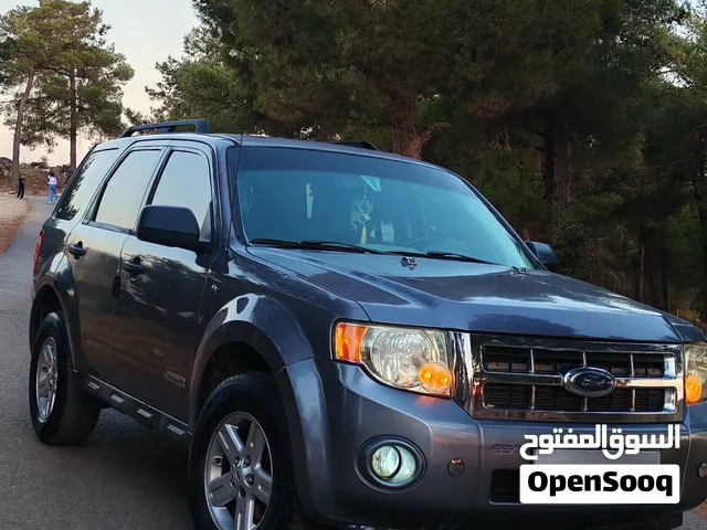 Used Ford Escape in Ajloun