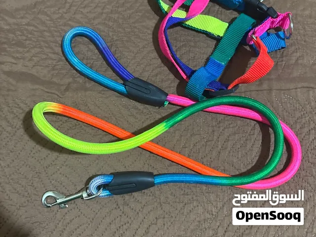 طوق و حبل كلب بسعر مميز