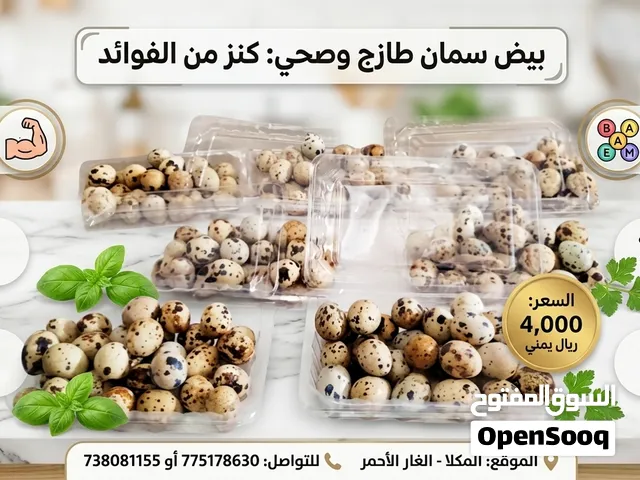 بيض السمان