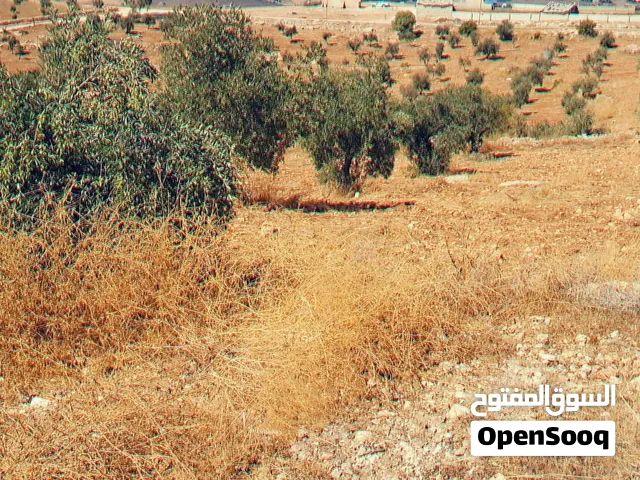 Mixed Use Land for Sale in Jerash Dahl
