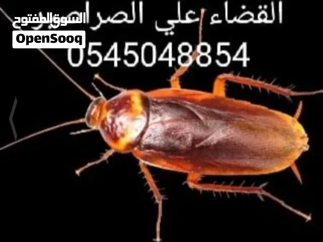 شركه مكافحه الحشرات وتسليك البواليع