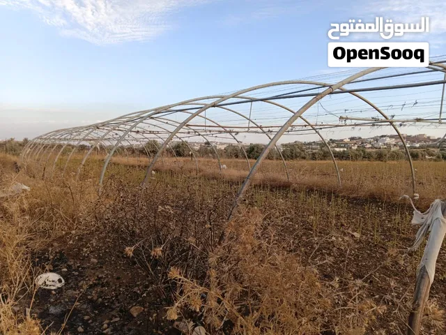 بيوت بلاستيكية زراعيه