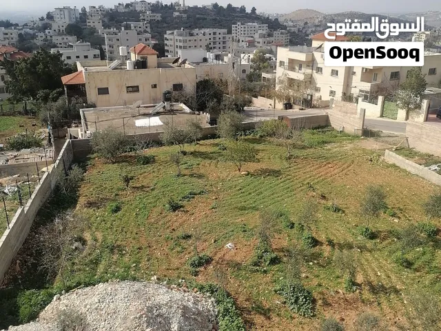 أرض سكنية فاخرة للبيع في دير بزيع – رام الله  1106م2  موقع استثنائي