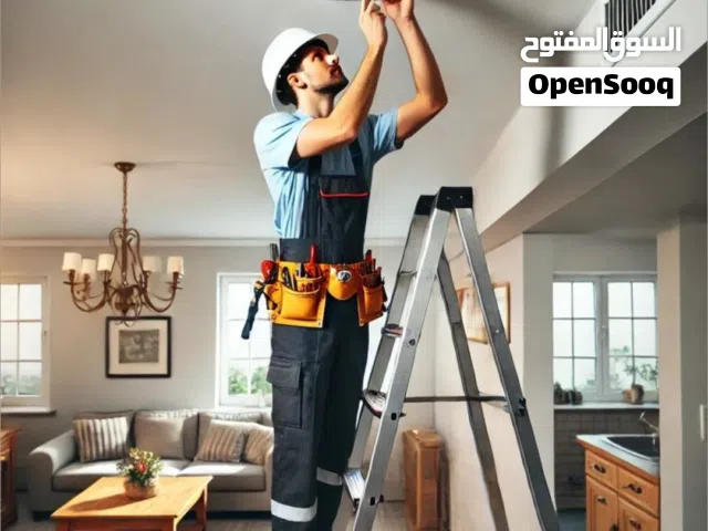 Electricians, installation, repair, add, remove and others.