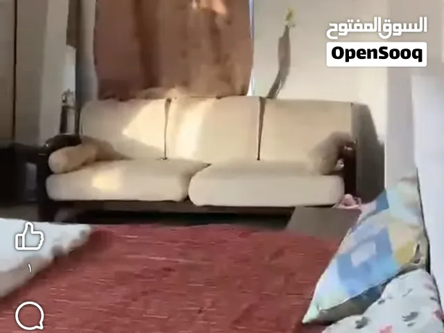 شقه عرطه العرطات للبيع في حده مع الاثاث 170م بسعر 75 الف دولار مشطب لكس البايع محتاااج فرصه لاتعوض