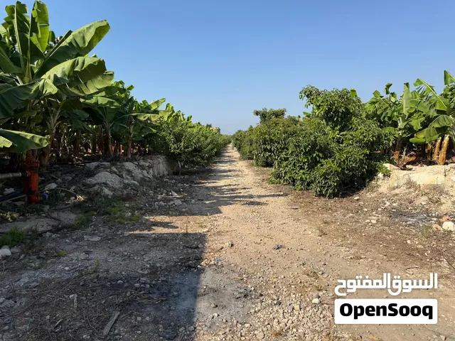 عقار مميز للبيع مطل على البحر