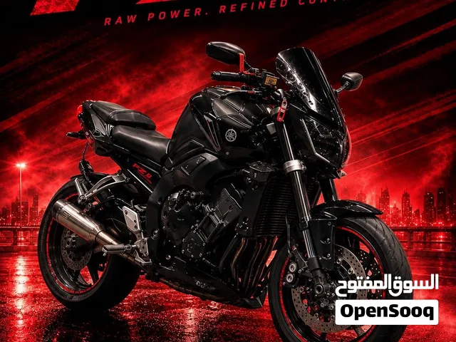 Yamaha FZ1N ABS 2009