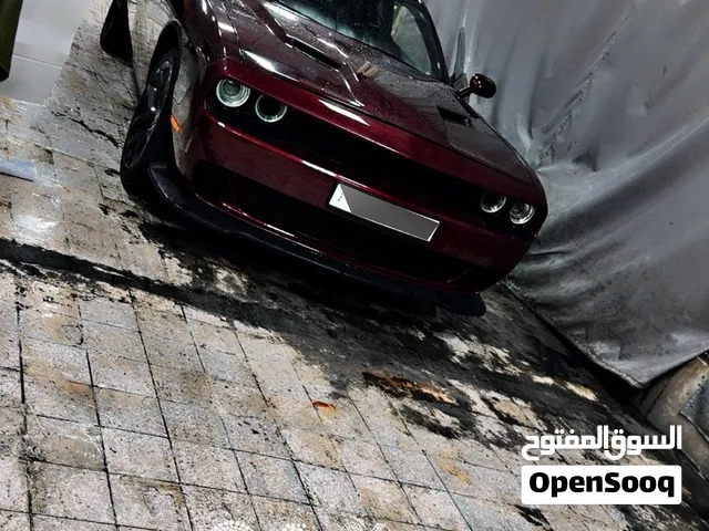 دوج تسالنجر