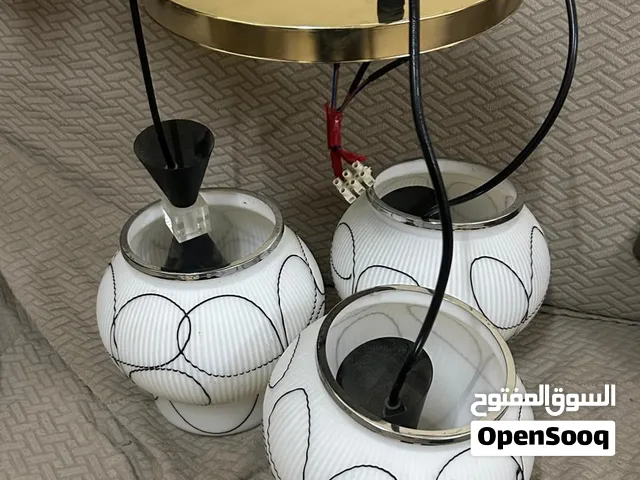 Ceiling light globe