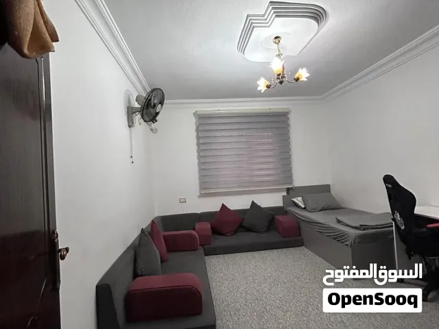 كل شيء موجود في الصورة مع الموكيته والبردايه الزيبرا