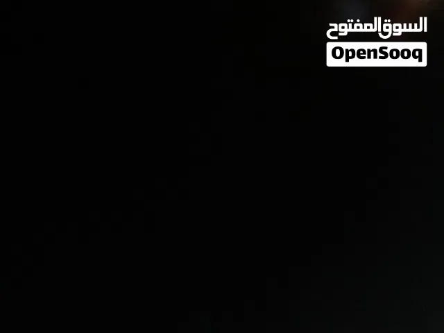 مطلوب كلب للتبني اي نوع