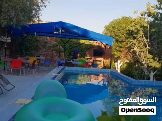 مزرعة للايجار اليومي في ناعور-الروضة تبعد ربع ساعة عن منطقة الدوار السابع بسعر مغري