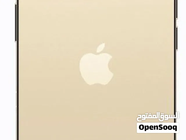 13 برو ماكس فقط الكامره توه وكفت مدري شبيهه