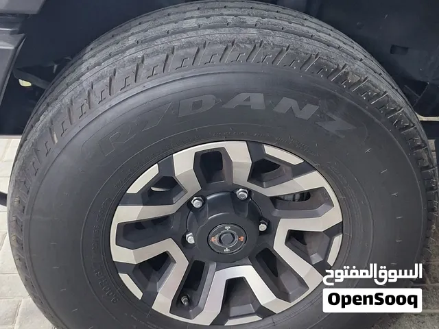 Rydanz 33 tire