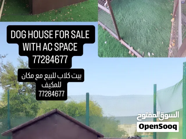Dog house بيت للكلاب