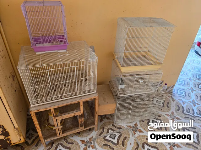 للبيع جميع الاقفاص بسعر 8 دينار