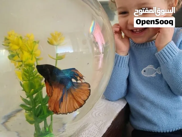 حضن دافئ..حضانة منزلية بأيدي أمينة