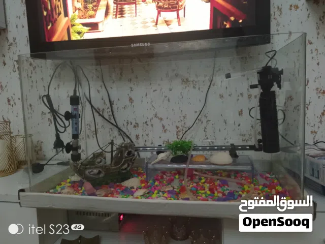 حوض سمك للبيع