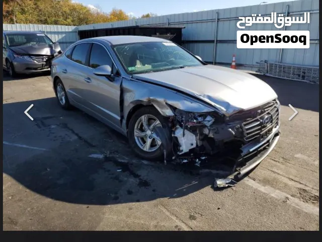 سوناتا لون صدر الحمام موديل 21