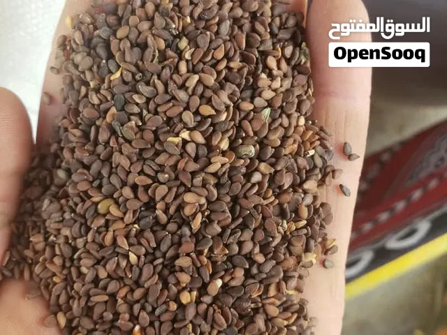 تصدير السمسم يمني ممتاز و العسل يمني ممتاز