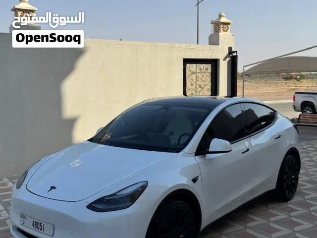 2025 تيسلا موديل Y Performance