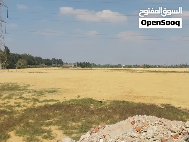 10 فدان جمعيه تعمير الصحاري مسجله شهر عقاري