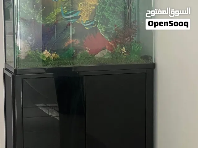 حوض اسماك للزينة بحالة ممتازة ، نظيف مع كامل اغراضه