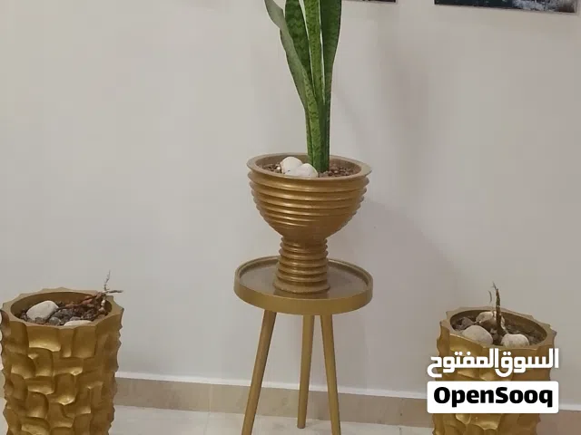 احواض زراعه فاخره عدد 3 للبيع