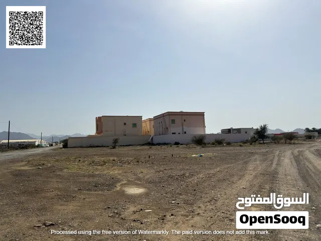 ارضين متلاصقتين سكني بمصفوت 8 850 متر وسط فلل -2 Adjacent residential plot Masfout 8 850 sqm