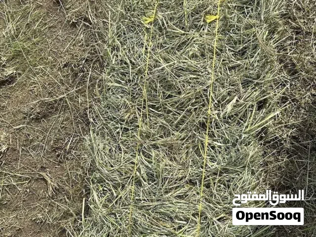 برايد حشيش اخضر بندل