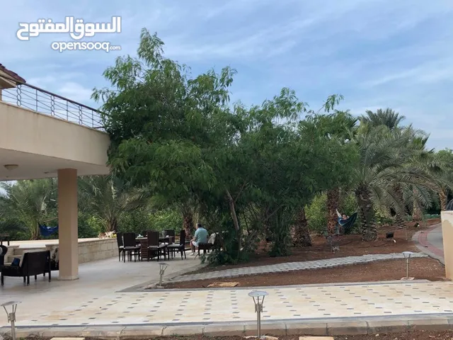مزرعة في الشونة الجنوبية / غور نمرين - ref: 12165