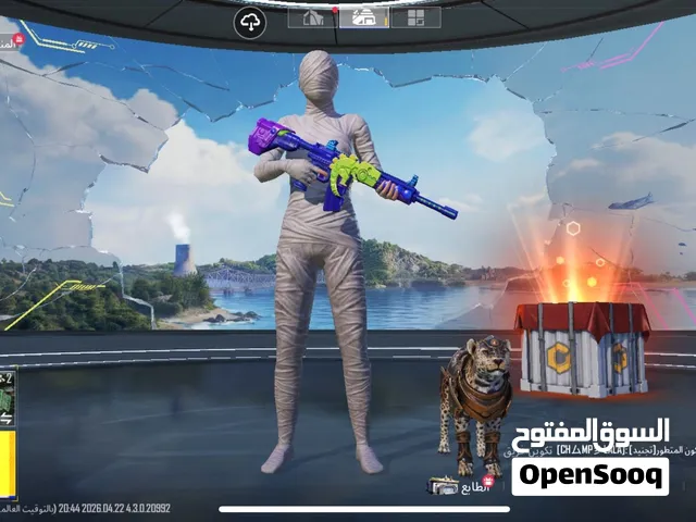 حساب امفور سحليه و مومياء و شورت نادر و تيشيرت نادر واشياء حلوه