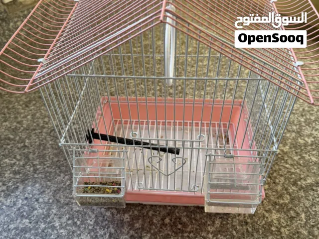 قفص عصفور صغير